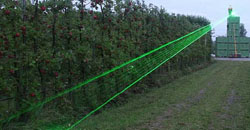 Comprendre les pointeurs laser verts pour le contrôle des bernaches du Canada