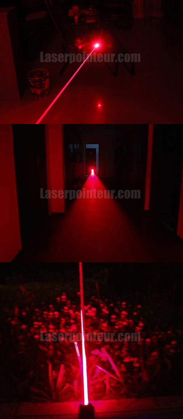laser rouge 1000mW