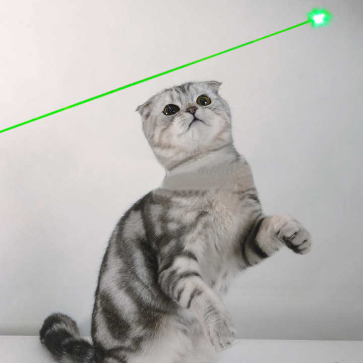 pointeur laser pour chats