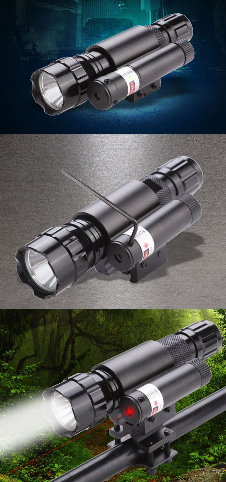 viseur laser avec lumière tactique