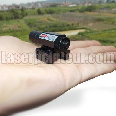 Mini viseur laser réglable vert/rouge pour canon de pistolet